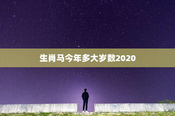 生肖马今年多大岁数2020