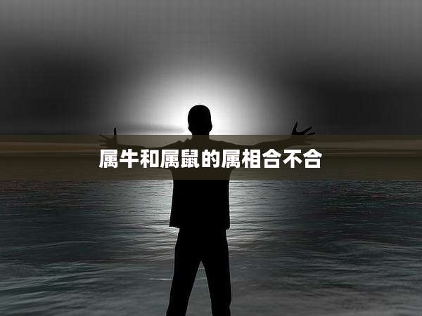 属牛和属鼠的属相合不合