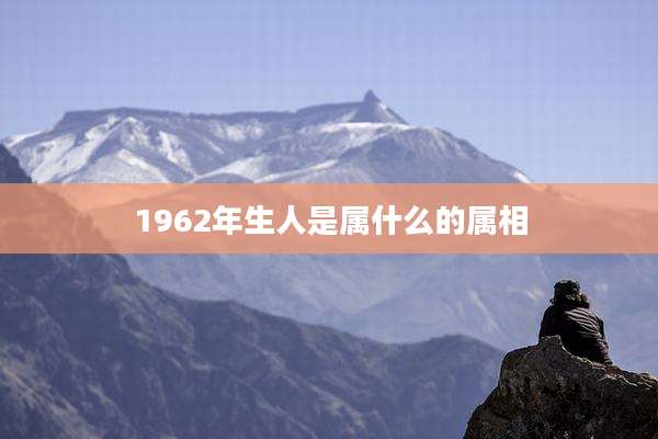1962年生人是属什么的属相