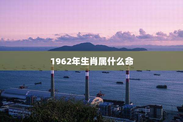 1962年生肖属什么命