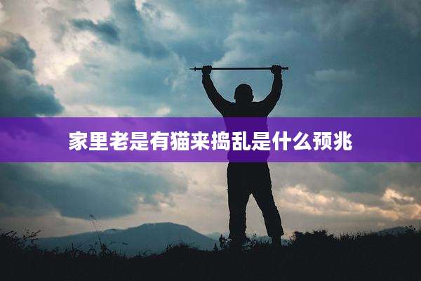 家里老是有猫来捣乱是什么预兆