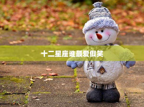 十二星座谁最爱假笑