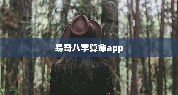 易奇八字算命app