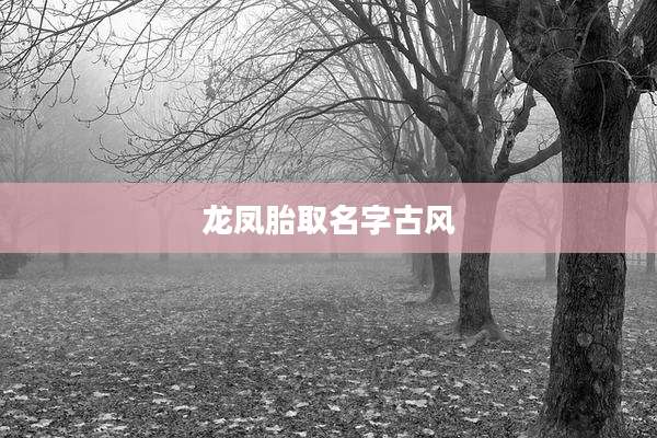 龙凤胎取名字古风