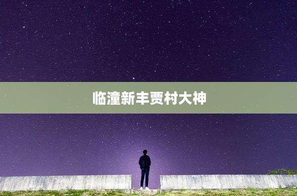 临潼新丰贾村大神
