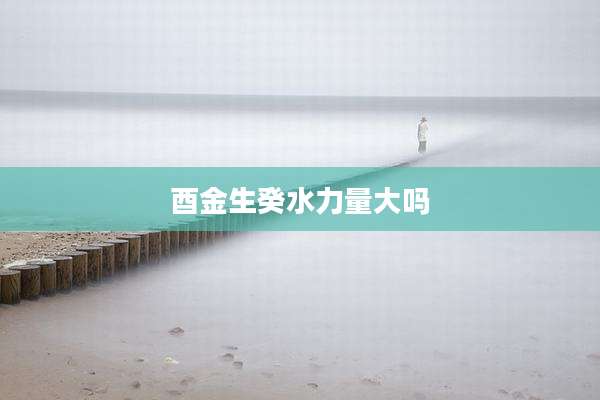 酉金生癸水力量大吗