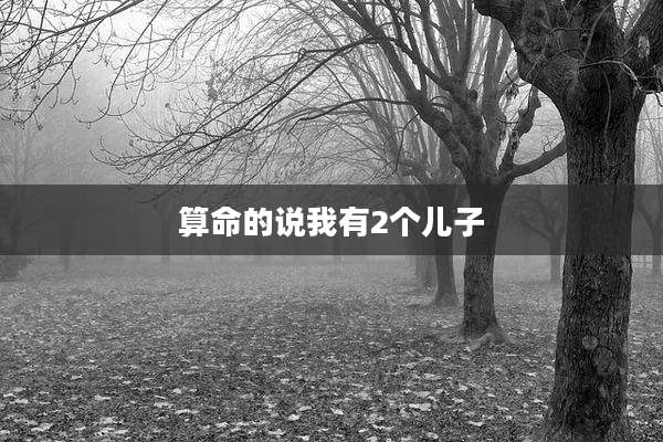 算命的说我有2个儿子