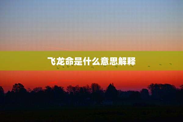 飞龙命是什么意思解释