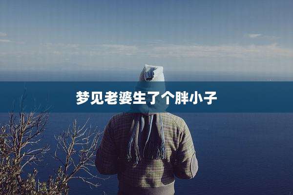 梦见老婆生了个胖小子