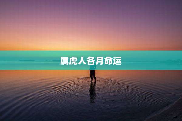 属虎人各月命运