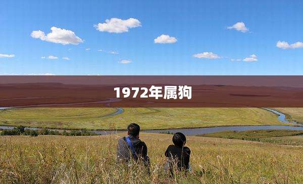 1972年属狗