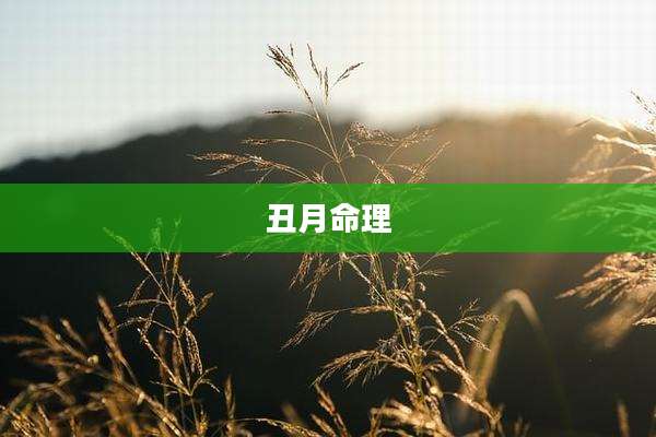 丑月命理