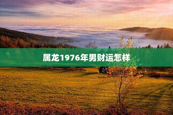属龙1976年男财运怎样