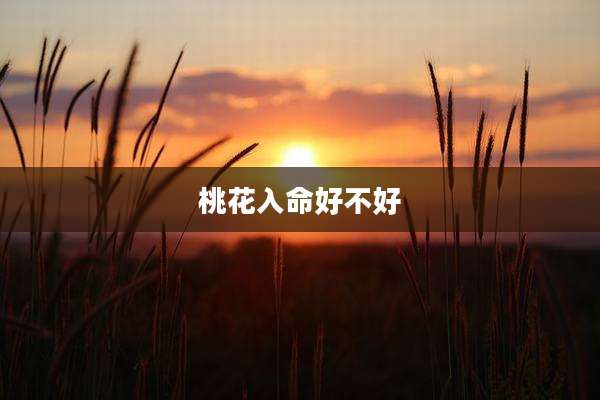 桃花入命好不好