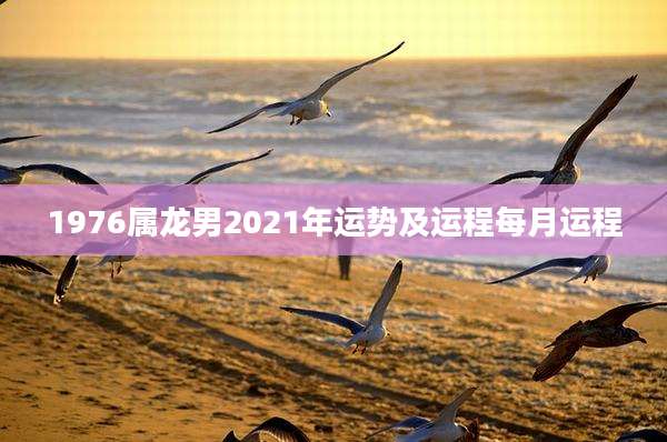 1976属龙男2021年运势及运程每月运程