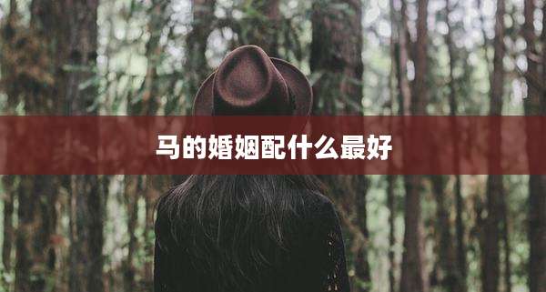 马的婚姻配什么最好