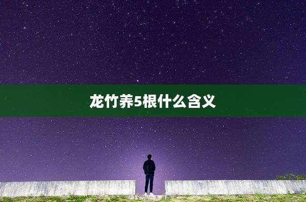 龙竹养5根什么含义