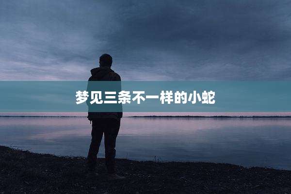 梦见三条不一样的小蛇