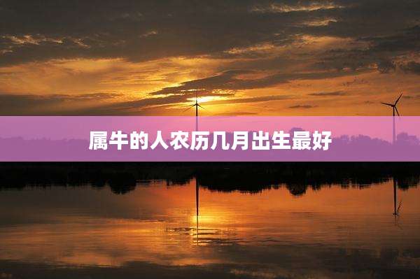 属牛的人农历几月出生最好