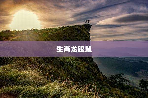 生肖龙跟鼠