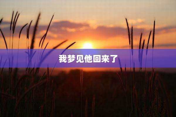 我梦见他回来了