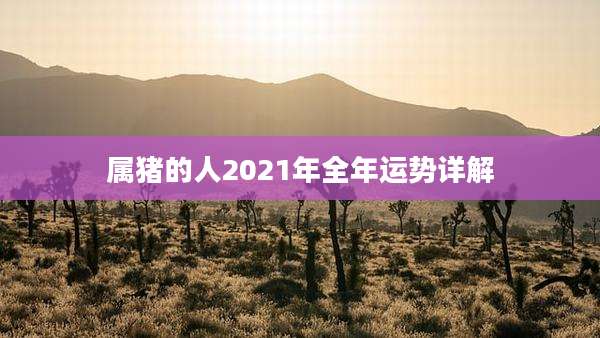 属猪的人2021年全年运势详解
