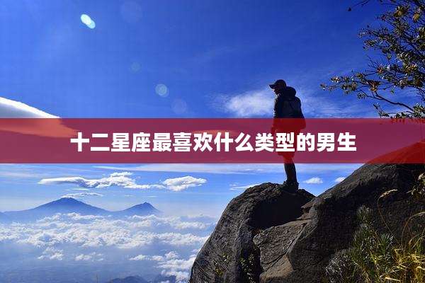 十二星座最喜欢什么类型的男生
