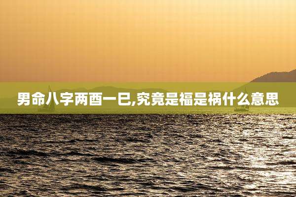 男命八字两酉一巳,究竟是福是祸什么意思