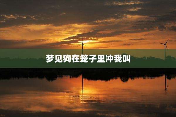 梦见狗在笼子里冲我叫