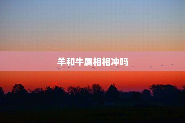 羊和牛属相相冲吗