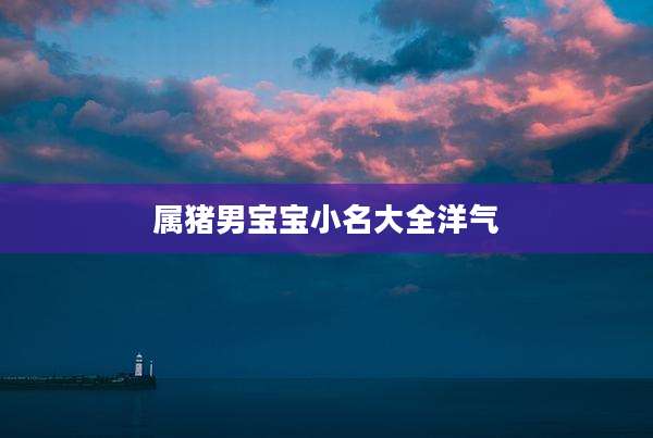 属猪男宝宝小名大全洋气