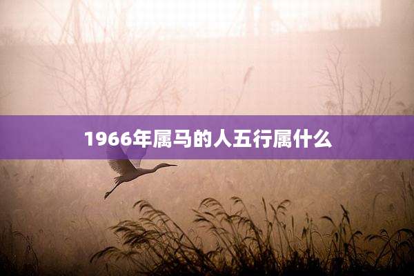 1966年属马的人五行属什么