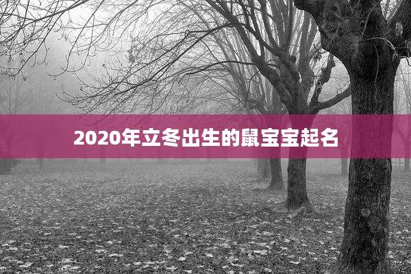 2020年立冬出生的鼠宝宝起名