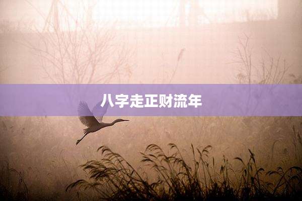 八字走正财流年
