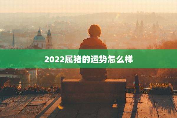 2022属猪的运势怎么样