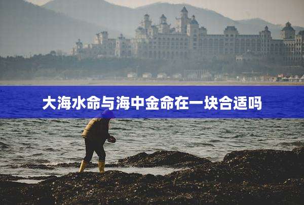 大海水命与海中金命在一块合适吗