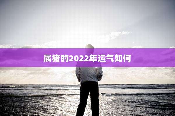 属猪的2022年运气如何
