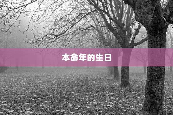 本命年的生日