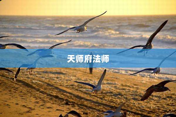 天师府法师