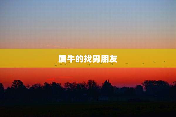 属牛的找男朋友