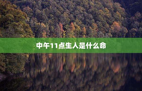 中午11点生人是什么命