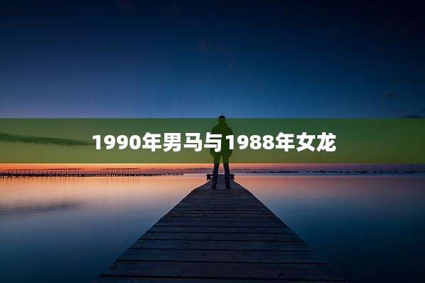 1990年男马与1988年女龙