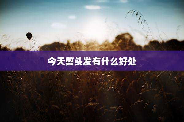今天剪头发有什么好处