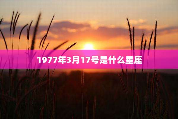 1977年3月17号是什么星座