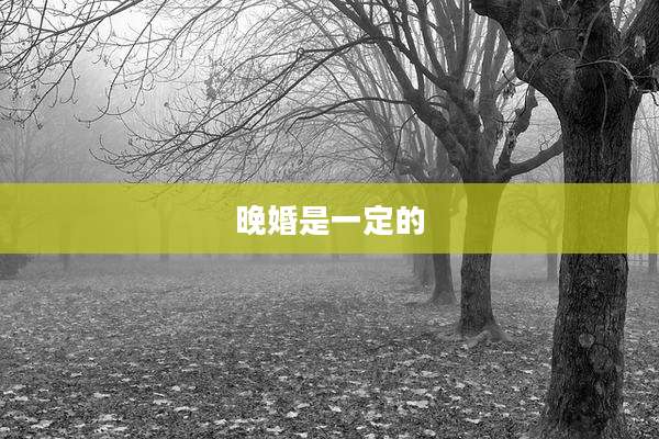 晚婚是一定的