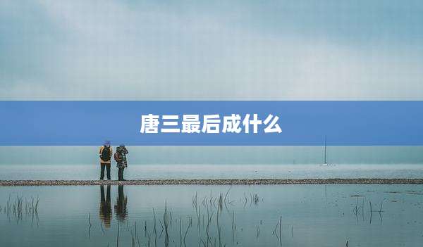 唐三最后成什么