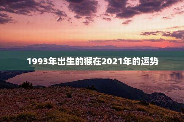1993年出生的猴在2021年的运势