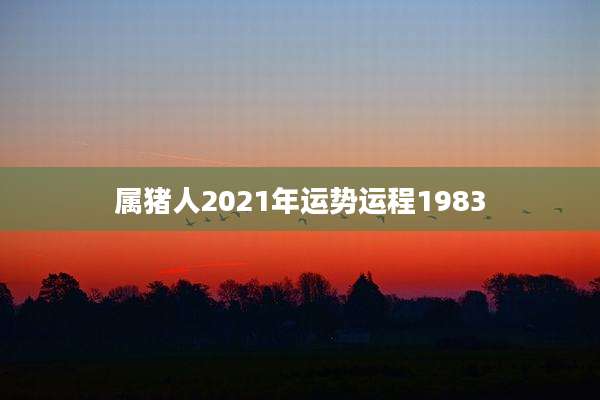 属猪人2021年运势运程1983