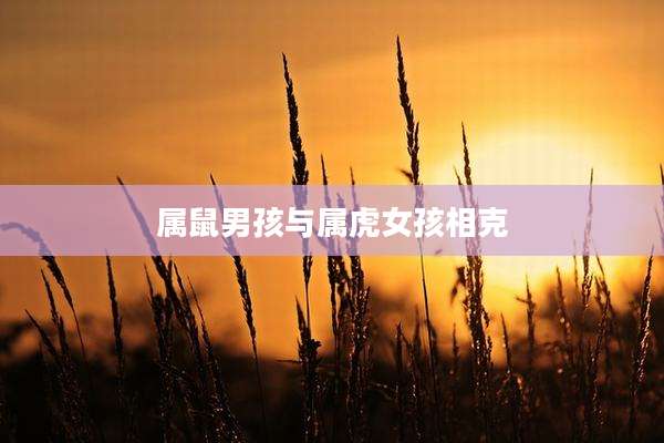 属鼠男孩与属虎女孩相克