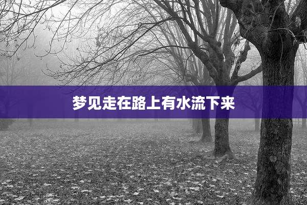 梦见走在路上有水流下来